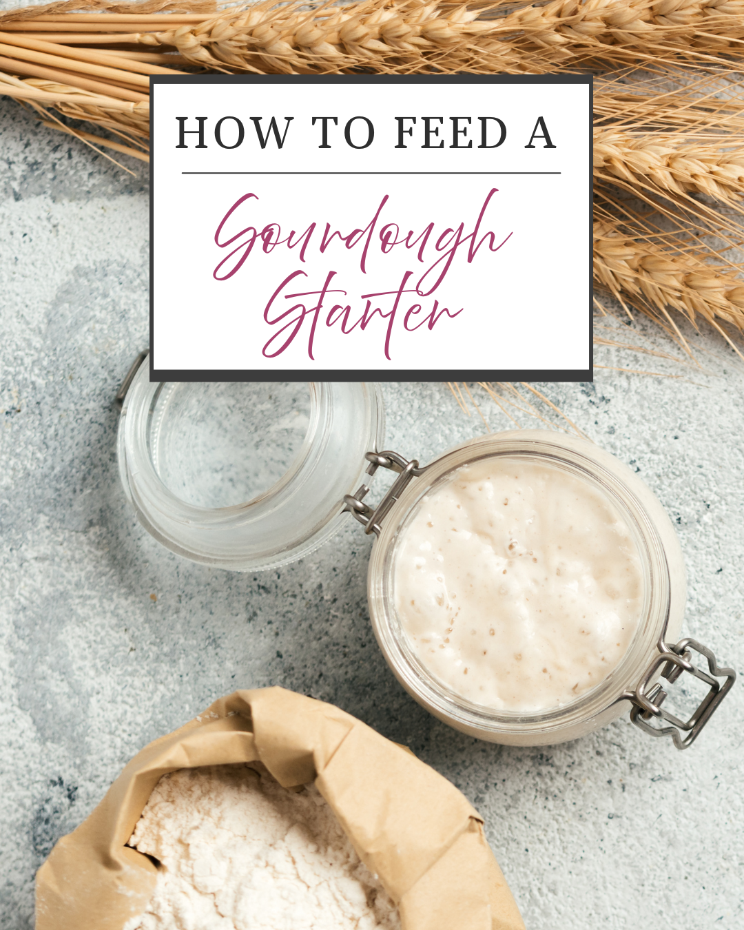 How to Feed Your Sourdough Starter
